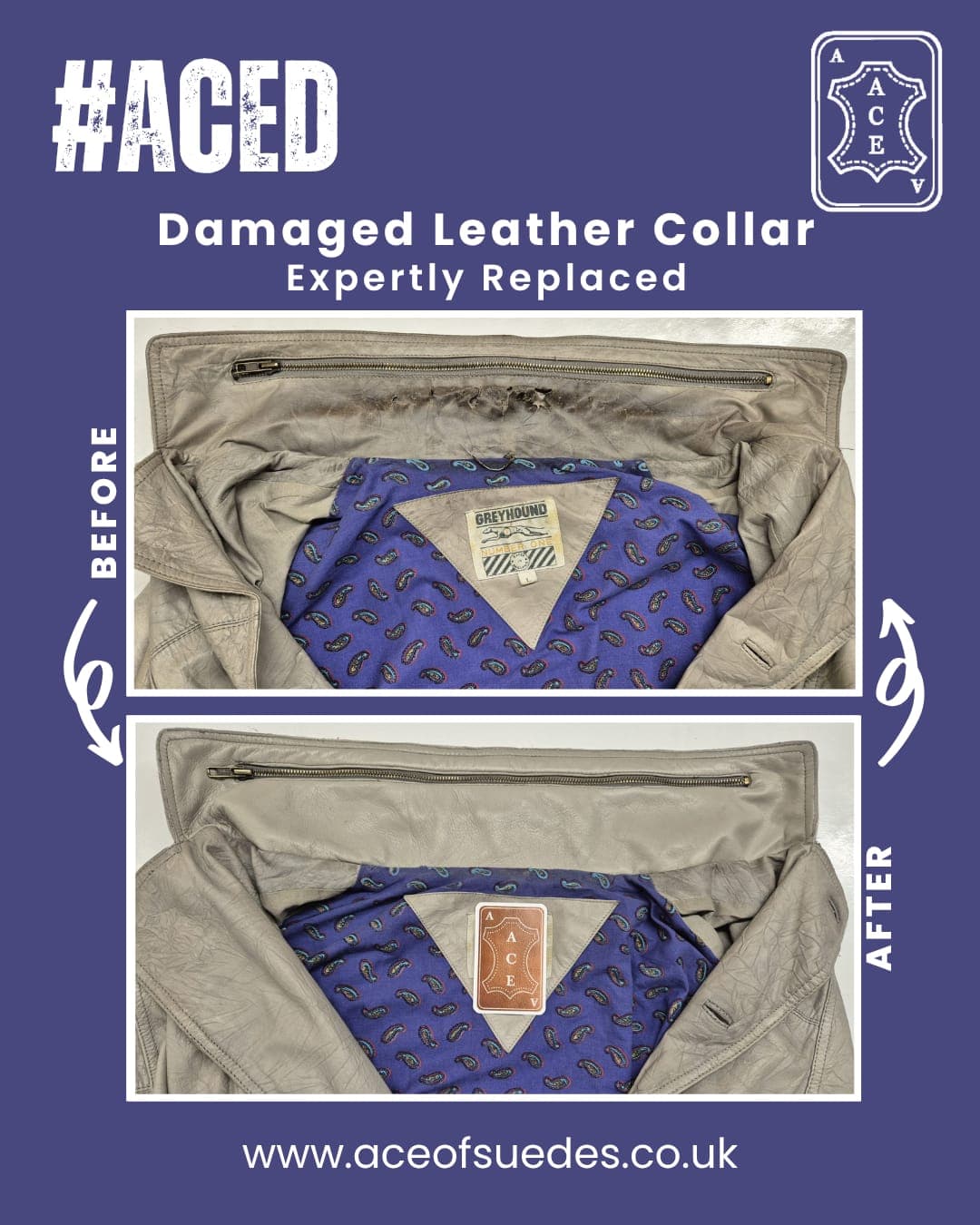 Leather Collar — Specialist Replacement