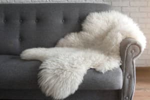 Skin, Hides & Sheepskin Rugs