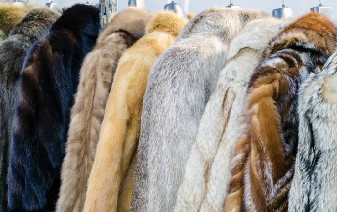 Fur Cleaning